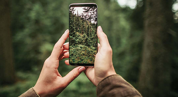 Kädet, kännykkä ja metsämaisema - valokuvaaja työn touhussa.